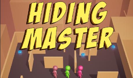Hiding Master 3D