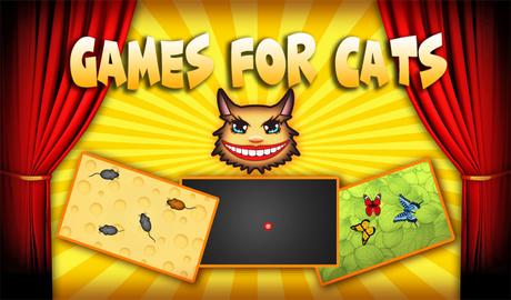 Games for cats