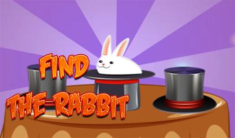 Find the Rabbit