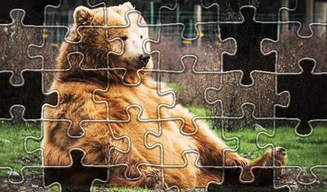 Animals Jigsaw Puzzles